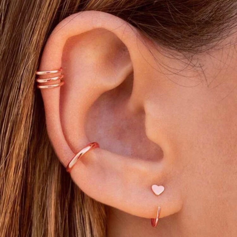 Elegant Rose Gold Heart Earrings